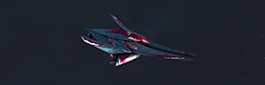 Tosurak Raider